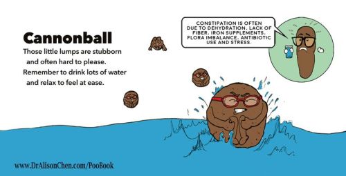 IMAGE - what your poop says about you!!!!